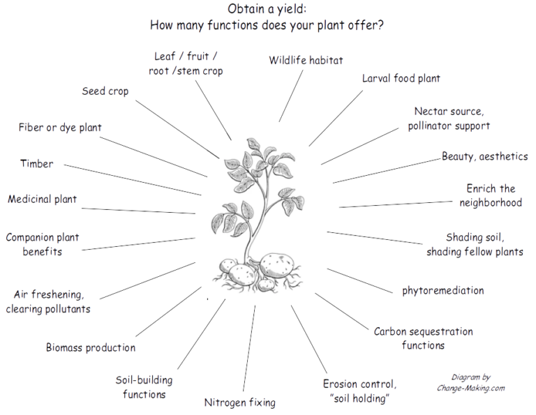 what-should-i-plant-change-making